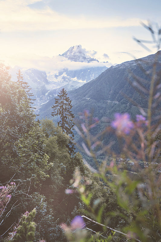 Aiguille de Blaitière